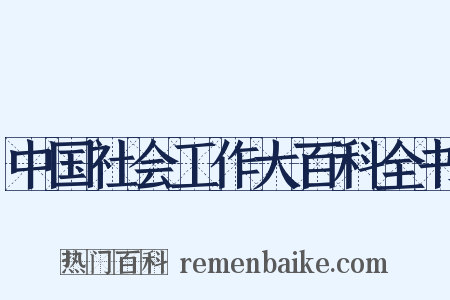 中国社会工作大百科全书是什么意思的图片